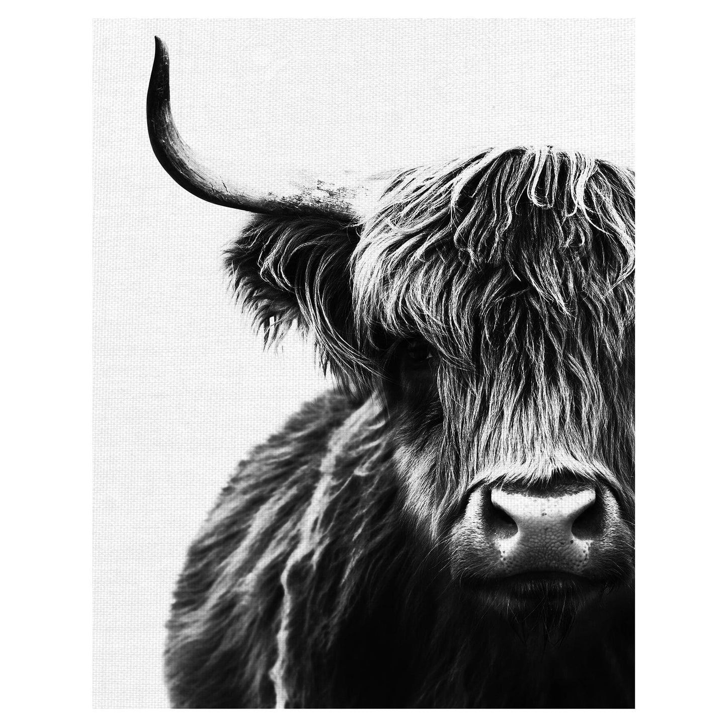 Alcista - Belle Maison