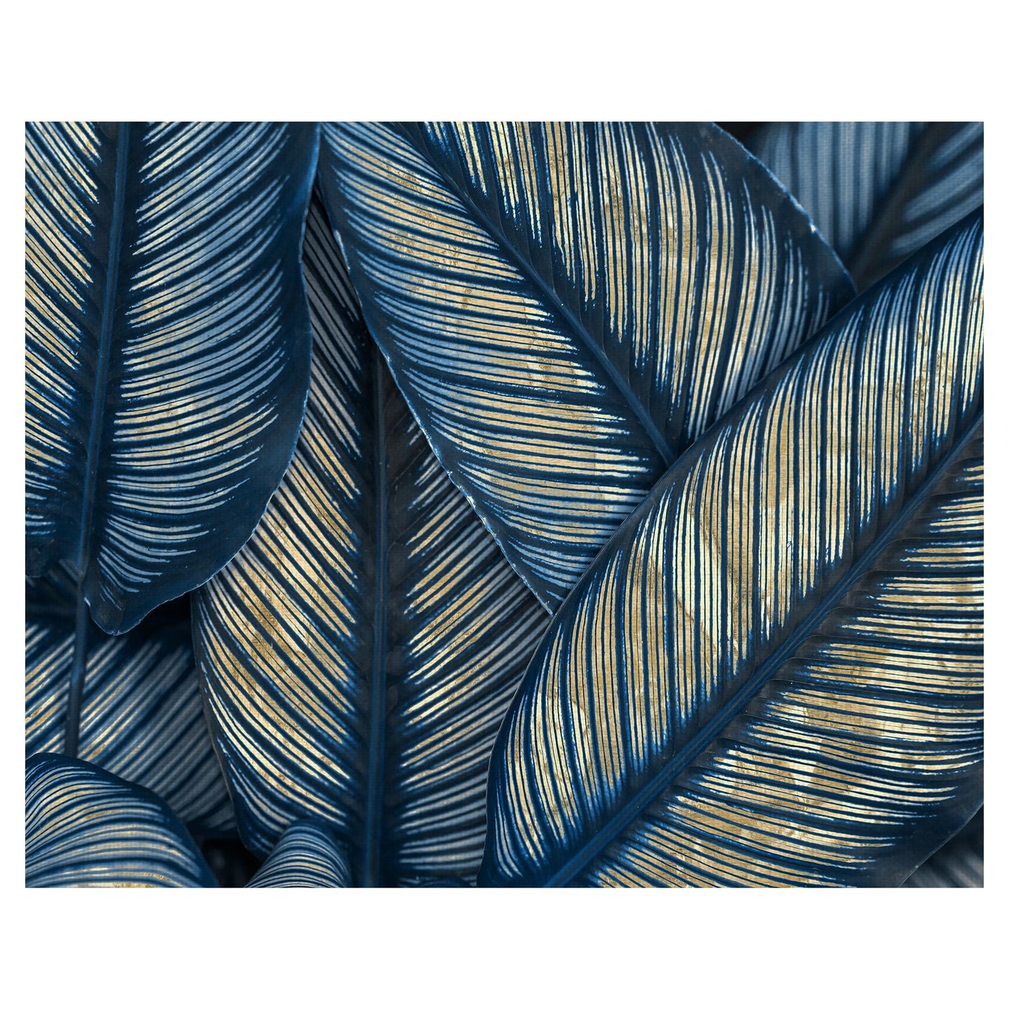 Tropicos de Indigo y Oro - Belle Maison