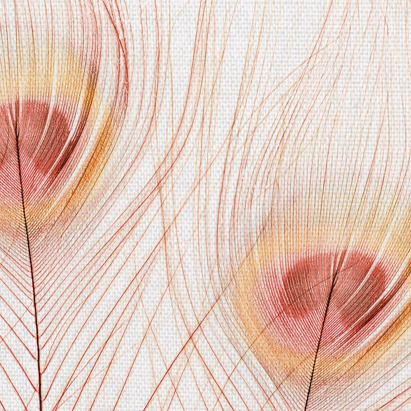 Pavo real de melocoton - Belle Maison