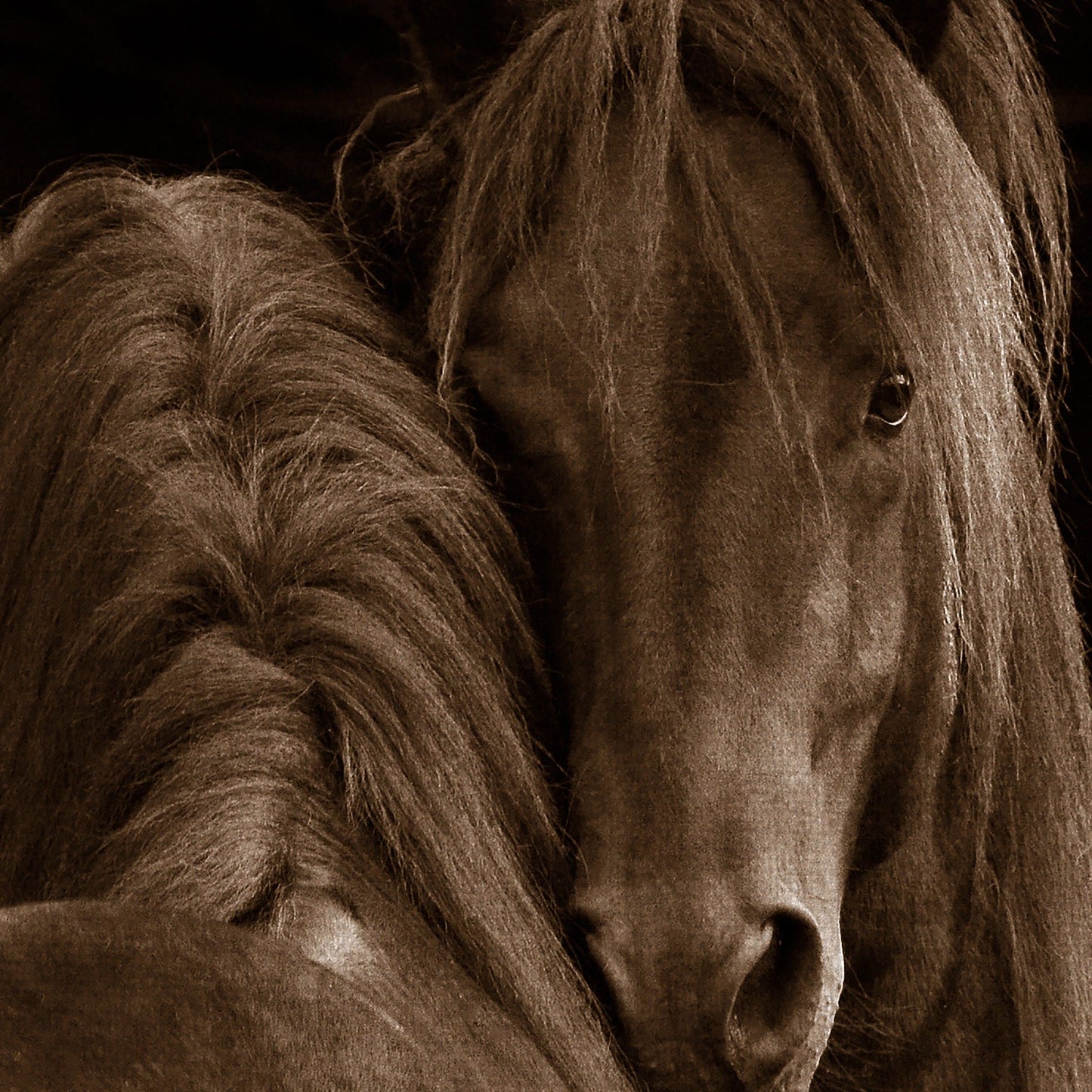 Ternura I - Tony Stromberg