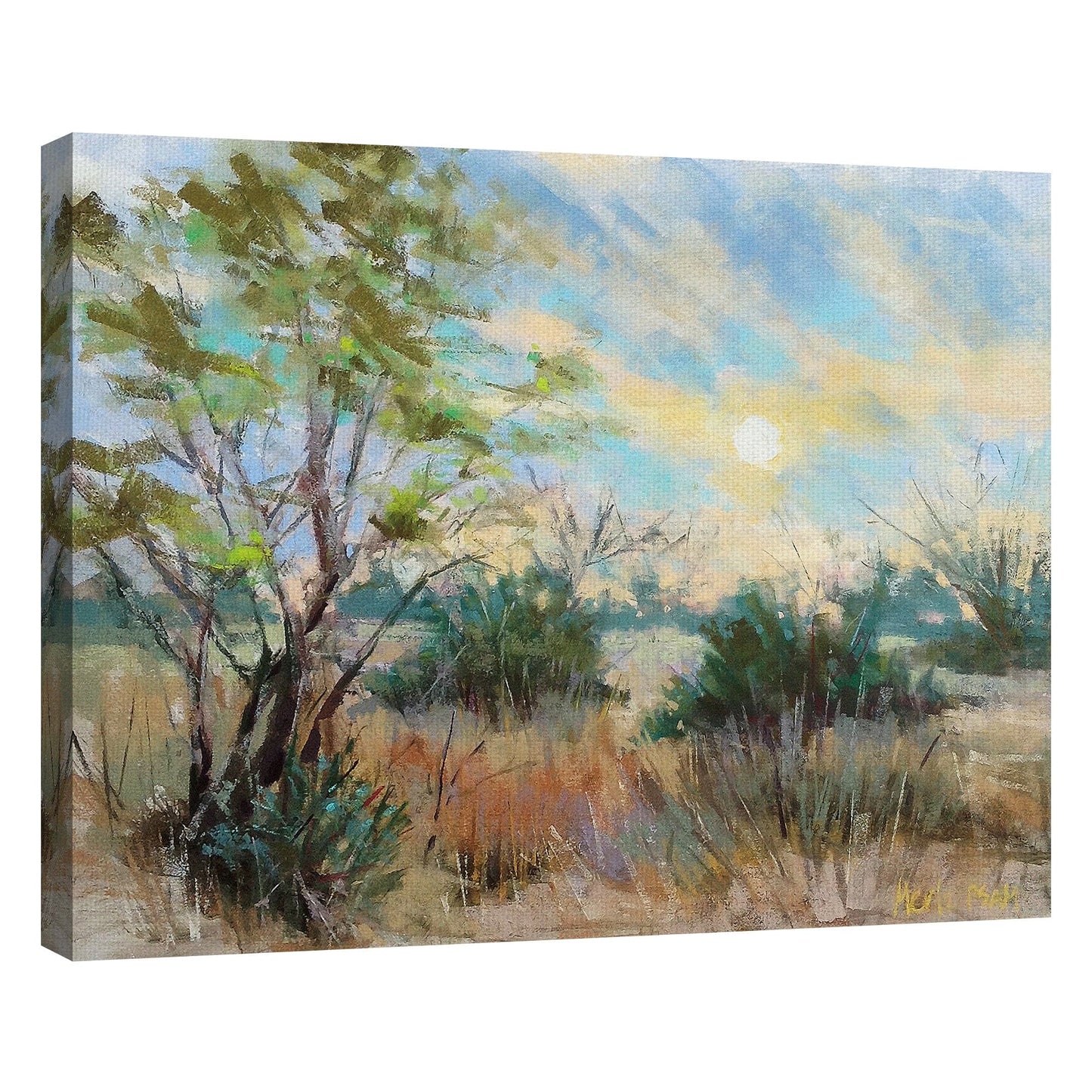 Amanecer en Texas - Nancie King Mertz