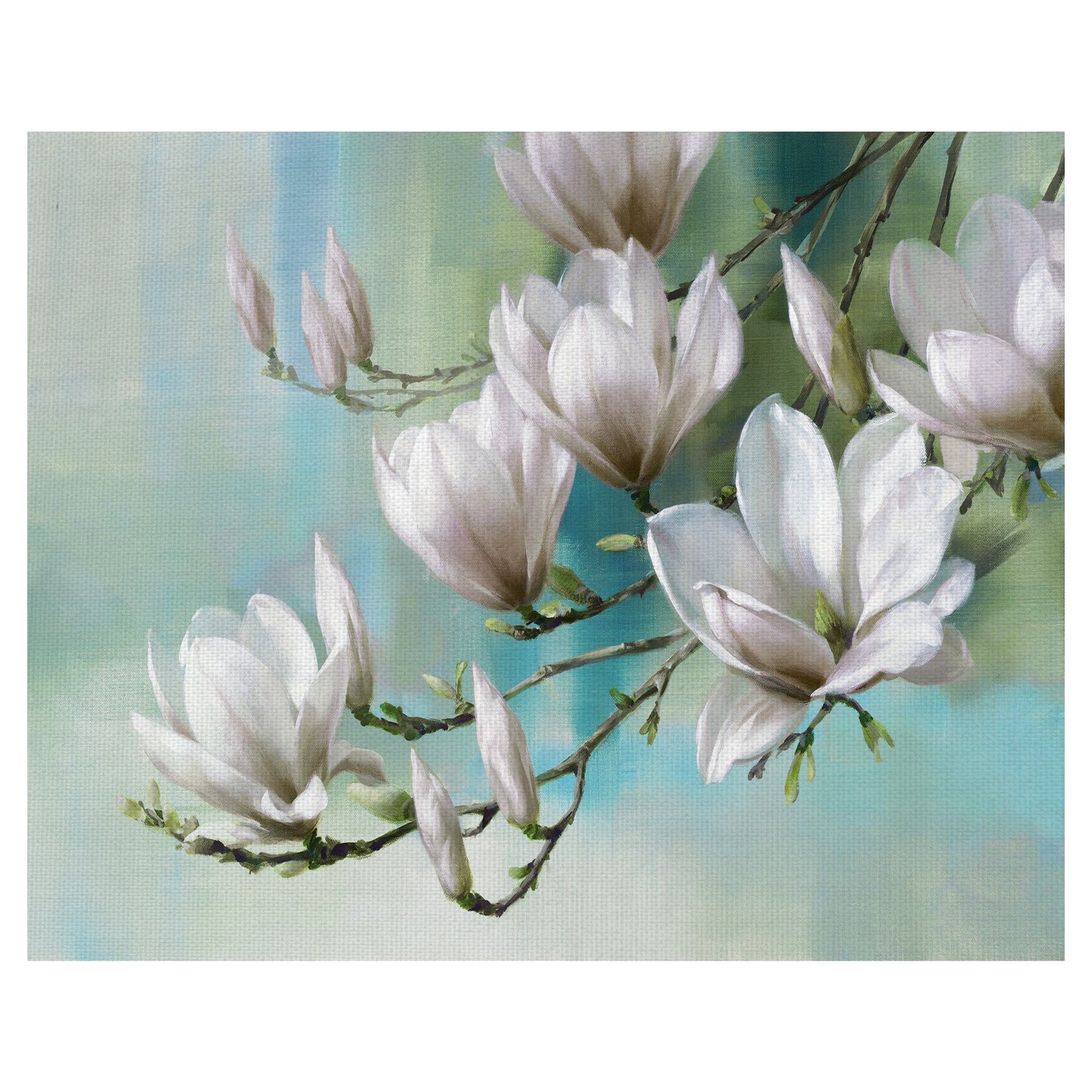 Magnolia Cerceta de la manana - Rogier Daniels