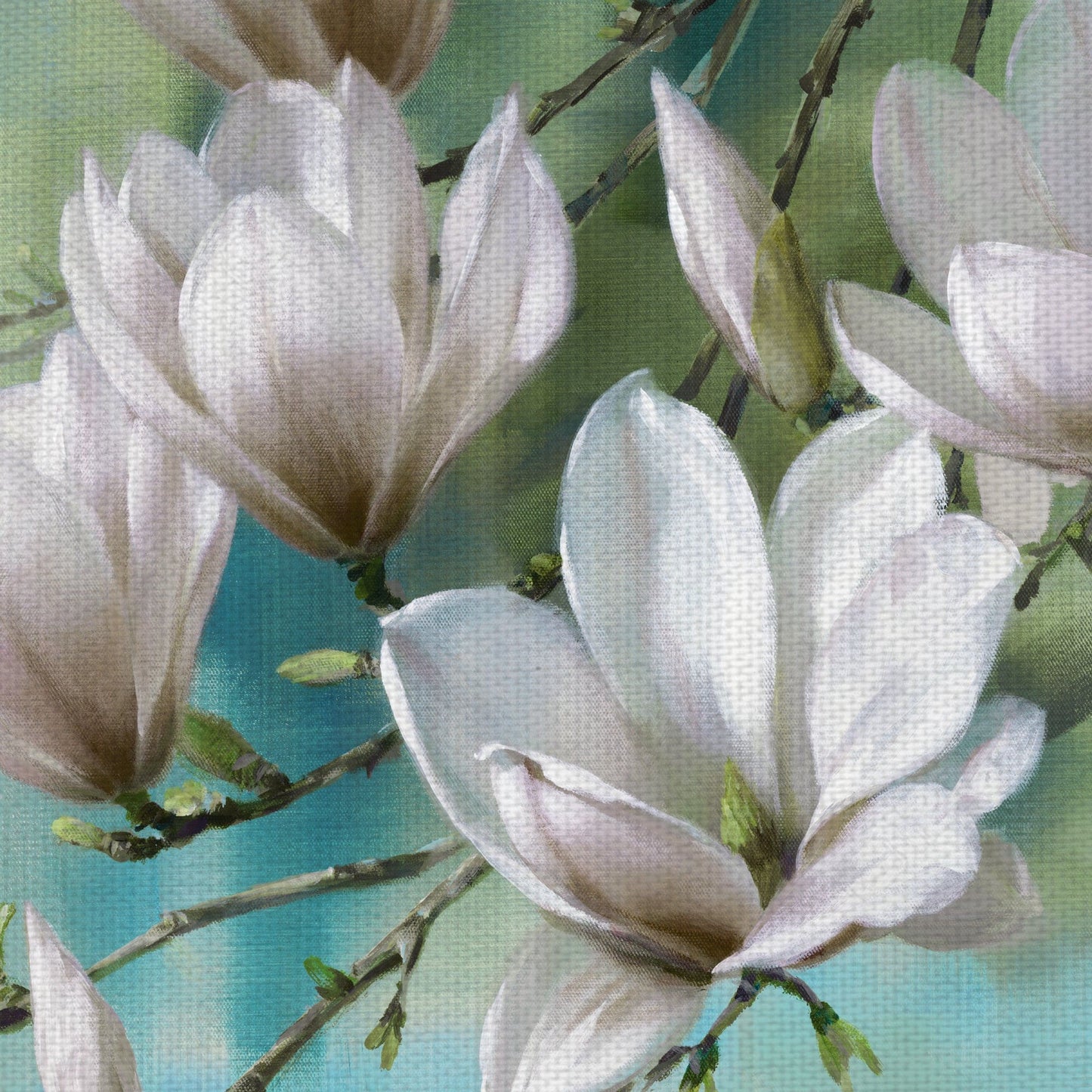 Magnolia Cerceta de la manana - Rogier Daniels