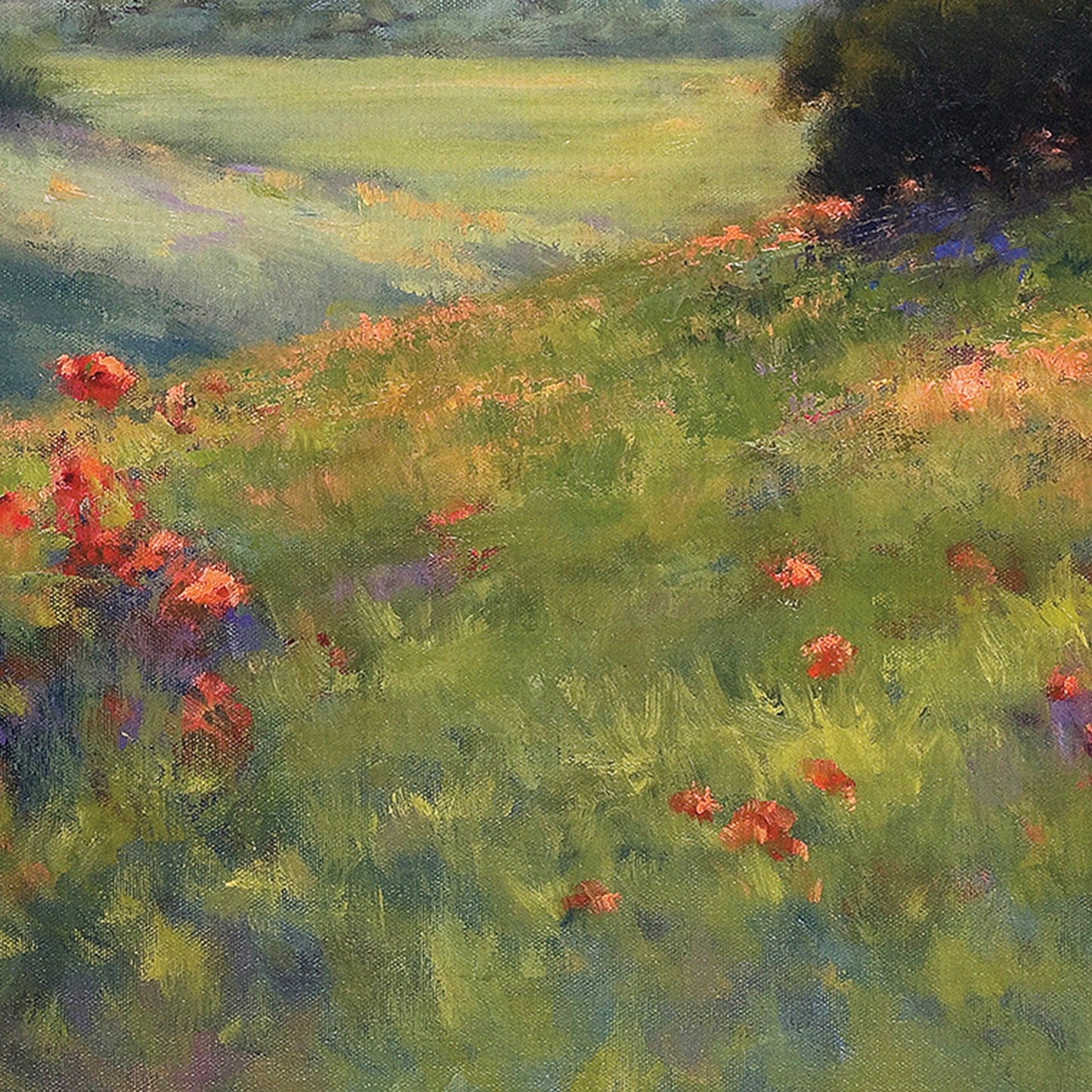 Amapolas con vistas - Alice Weil