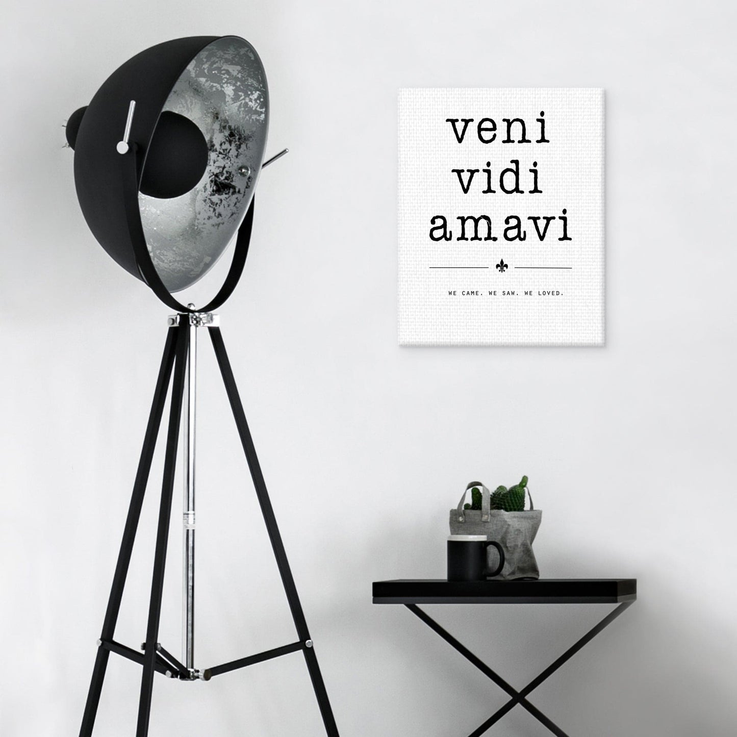 Veni Vidi Amavi - Jan Weiss