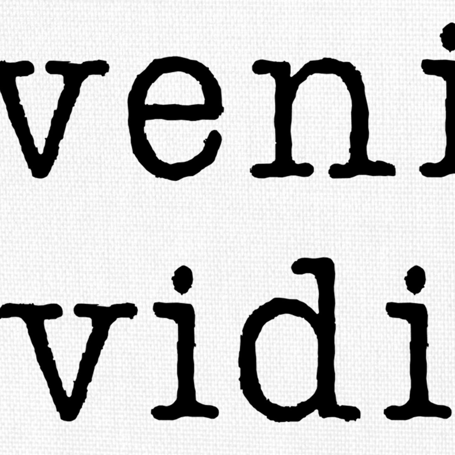 Veni Vidi Amavi - Jan Weiss