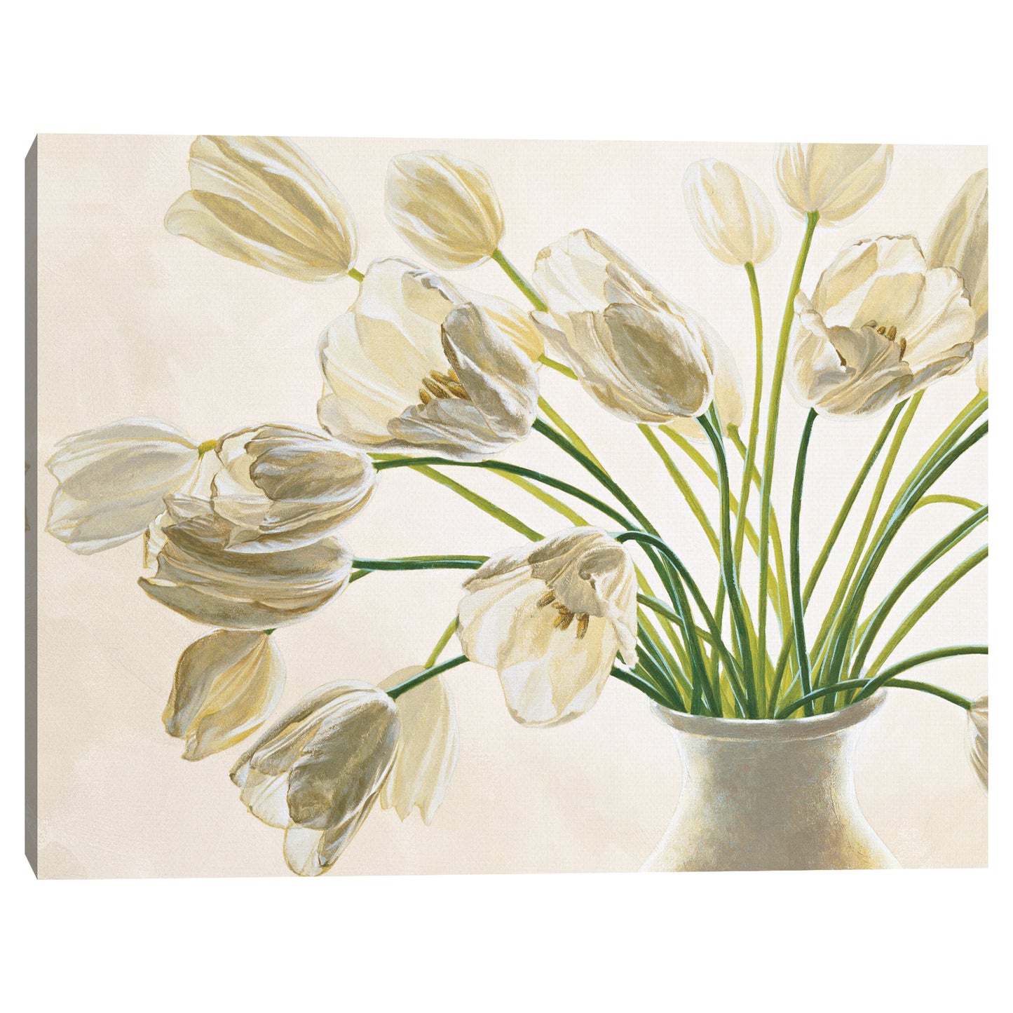 Ramo de Tulipani - Eva Barberini