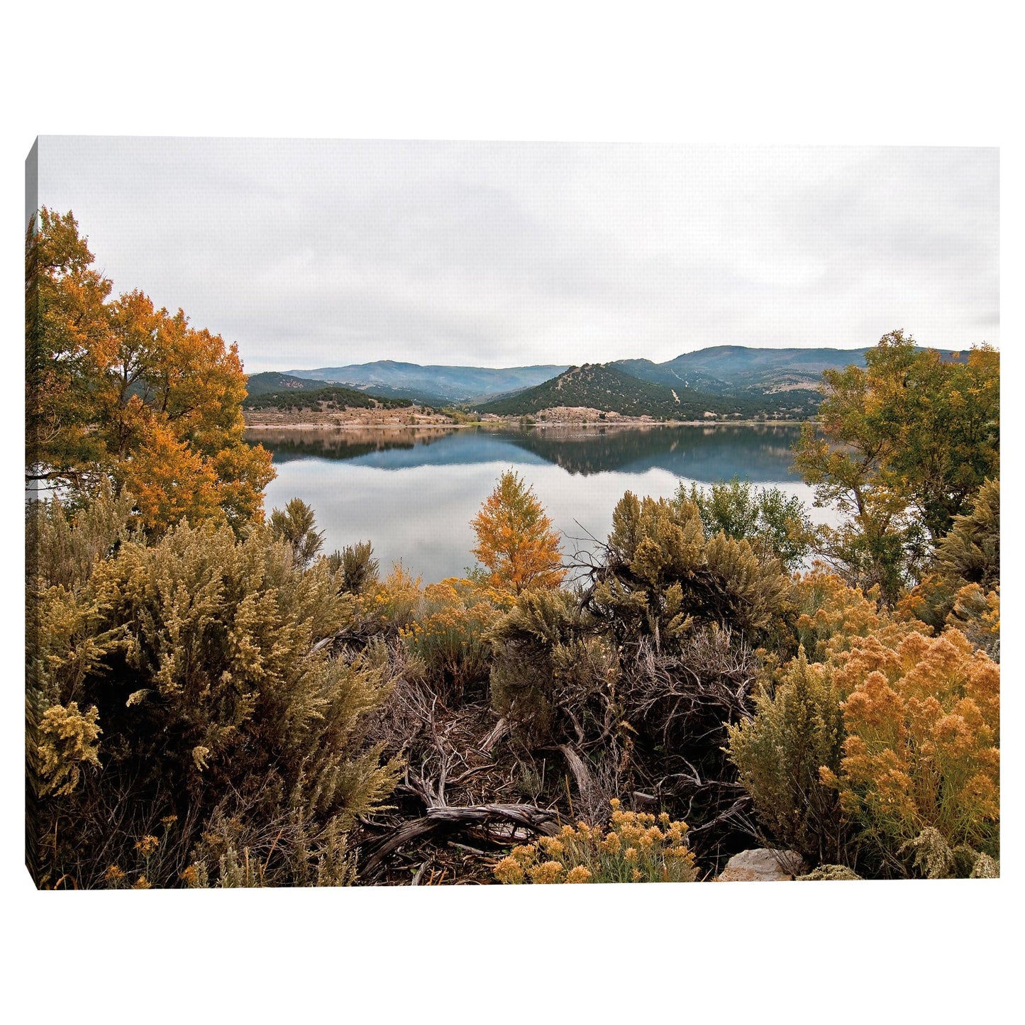 Vista al lago - Bruce Nawrocke