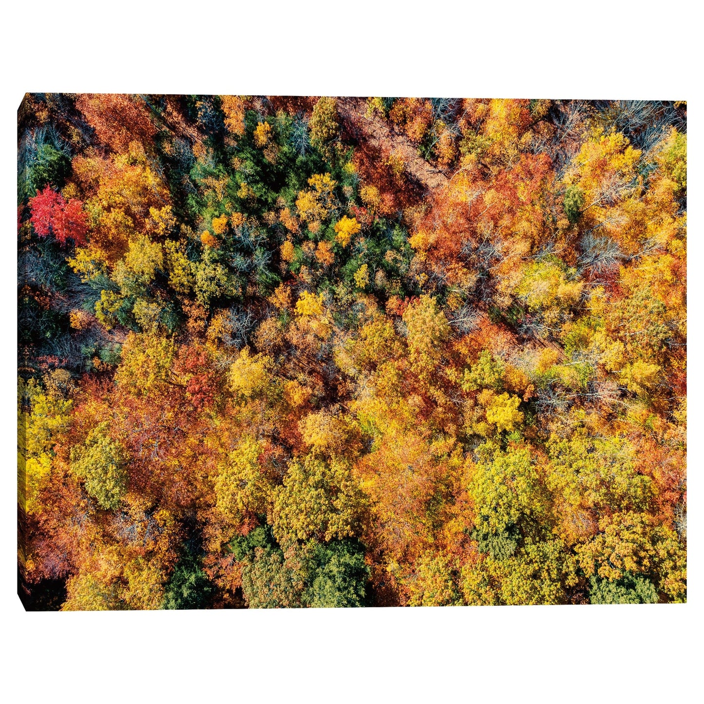 Otoño aereo - Jason Veilleux