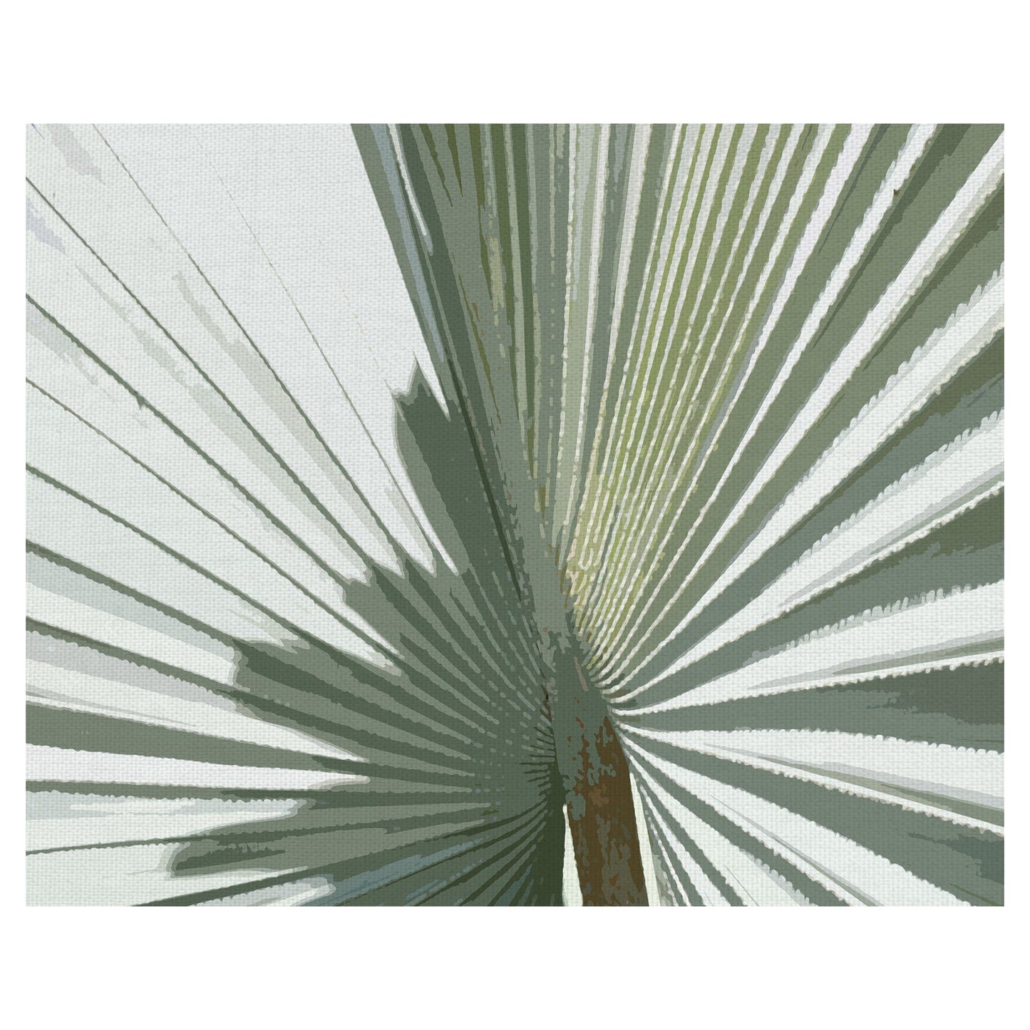 Cultivo de Fronda de Palma II - Noah Bay