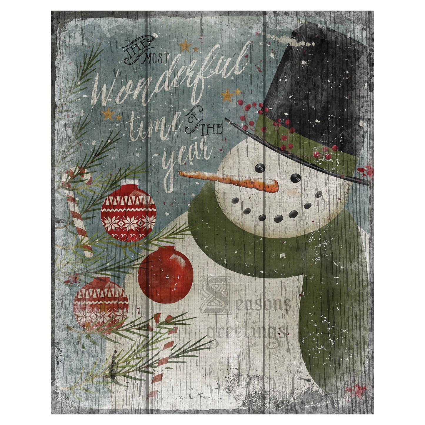 Muñeco de nieve maravilloso - Beth Albert