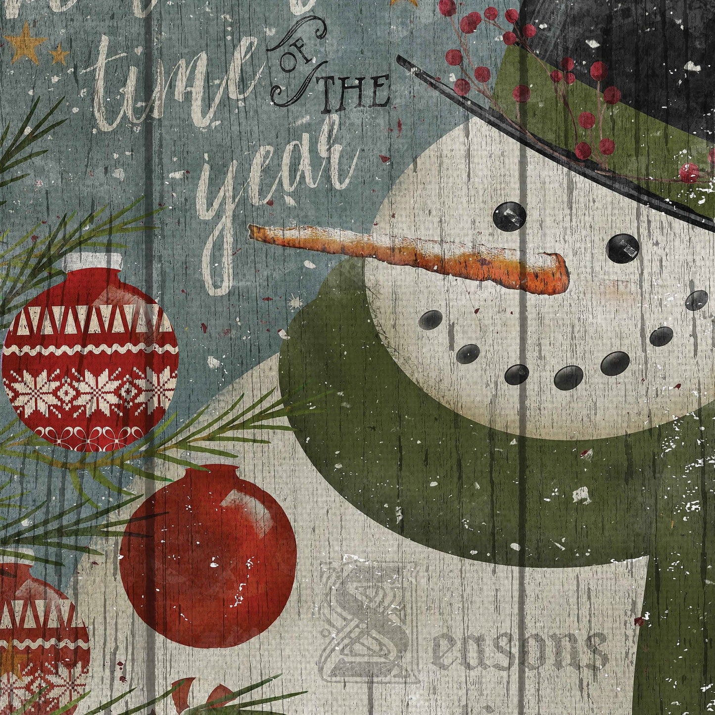 Muñeco de nieve maravilloso - Beth Albert