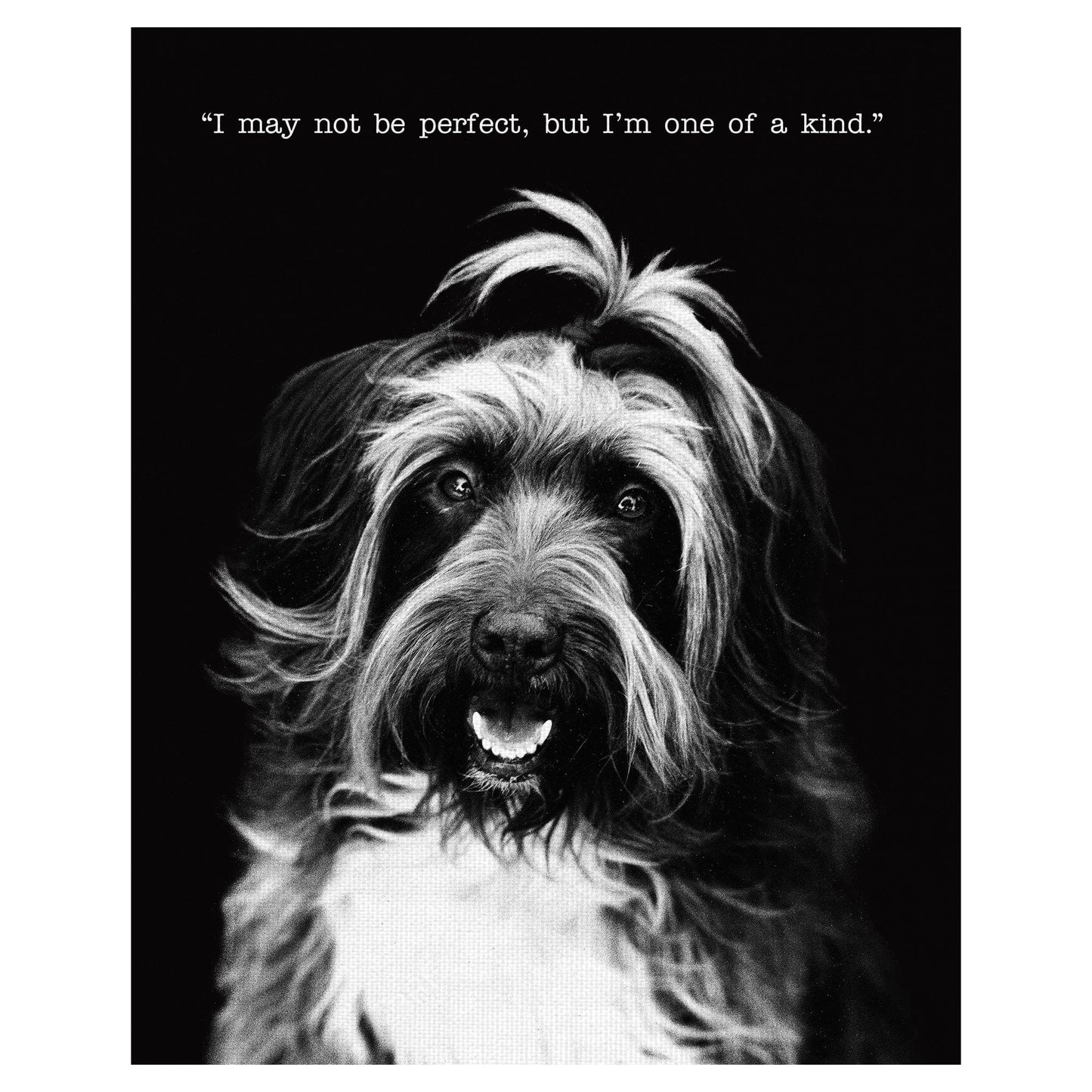 Margo con texto - Compawssion