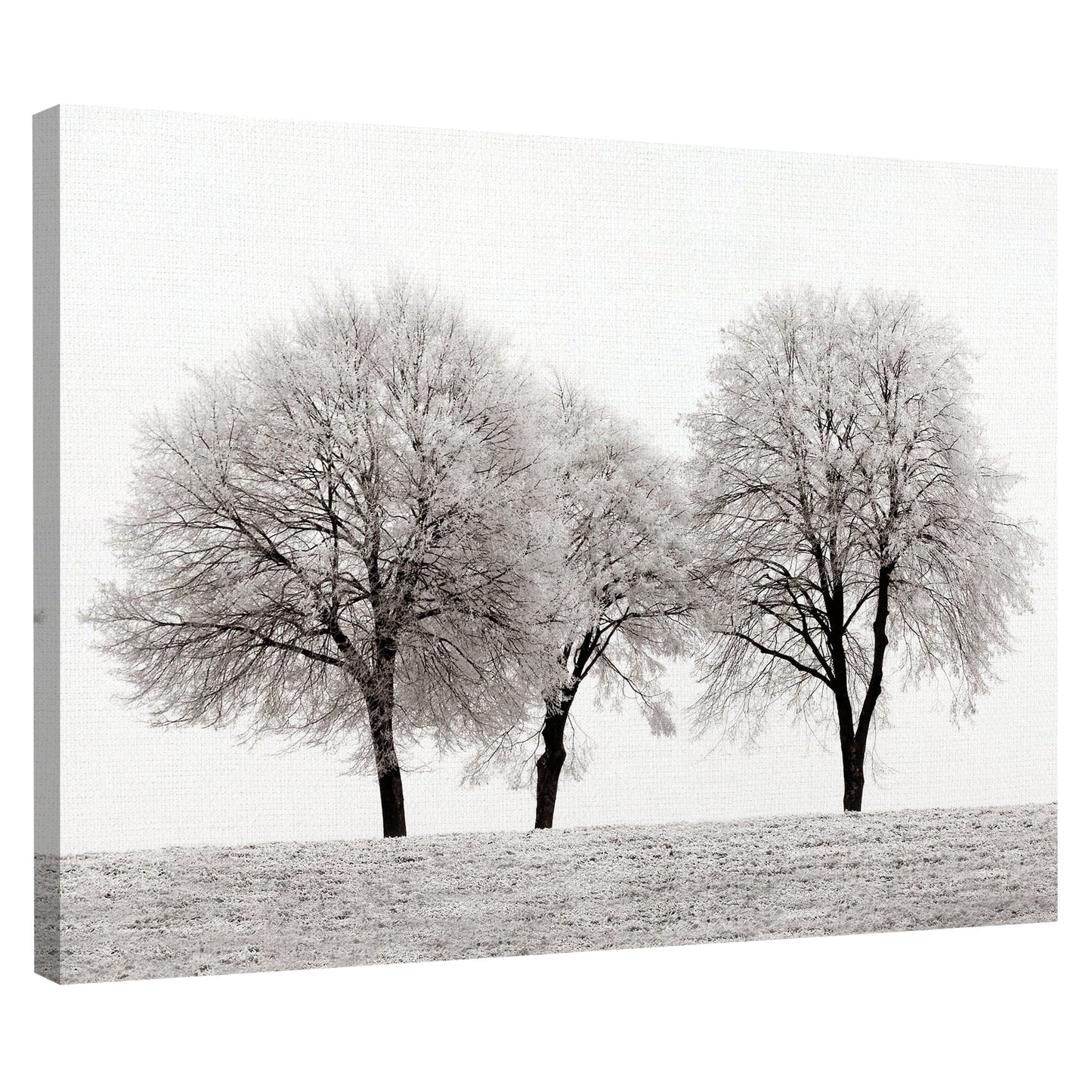 Tres Arboles - Ilona Wellmann