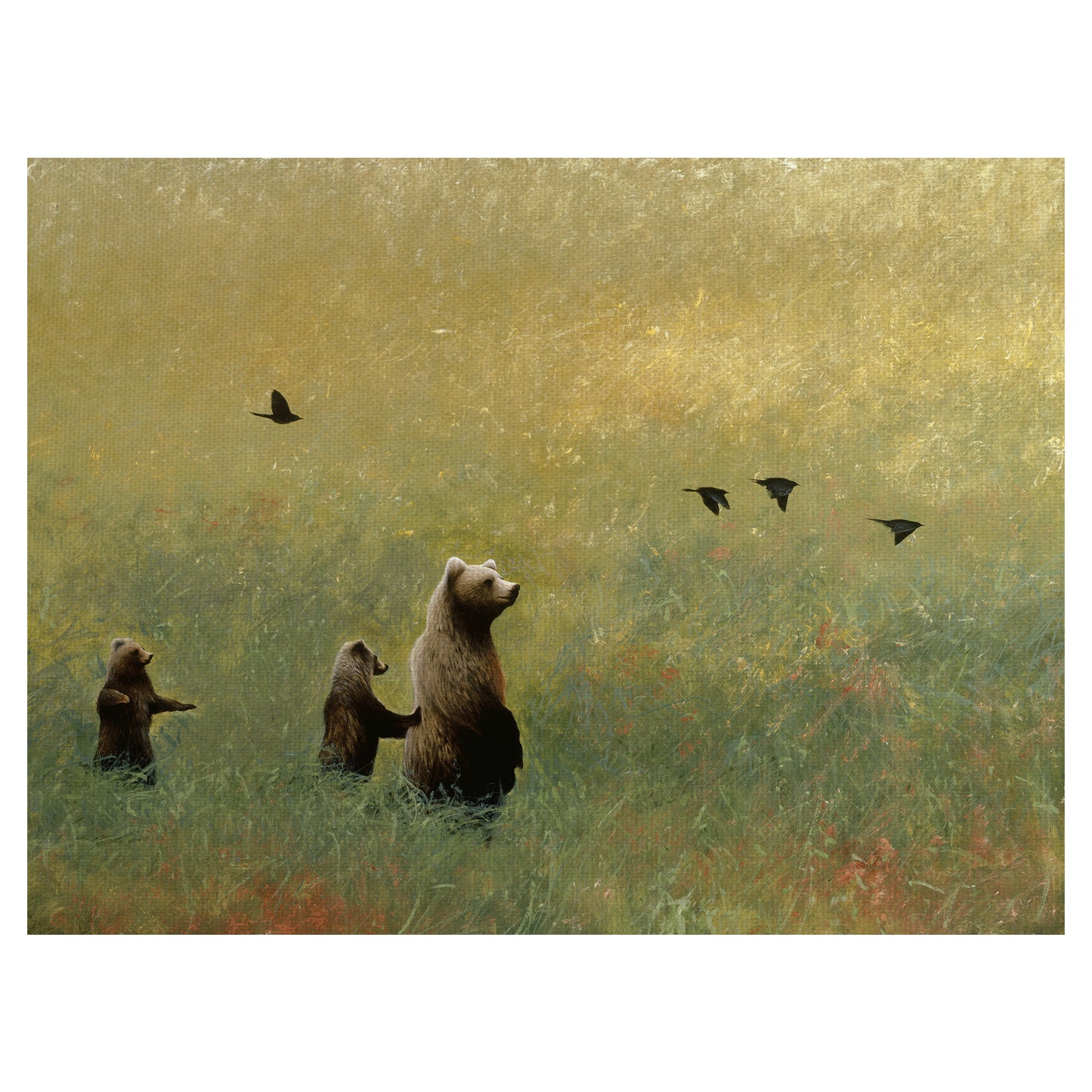 Mirlos y familia de osos - Miguel Dominguez