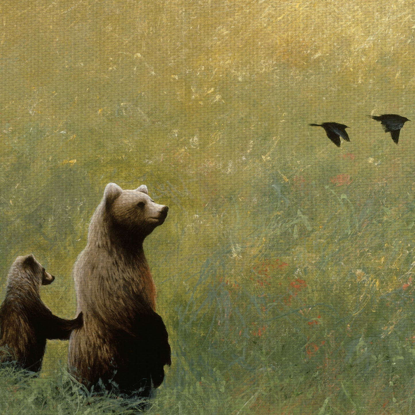 Mirlos y familia de osos - Miguel Dominguez