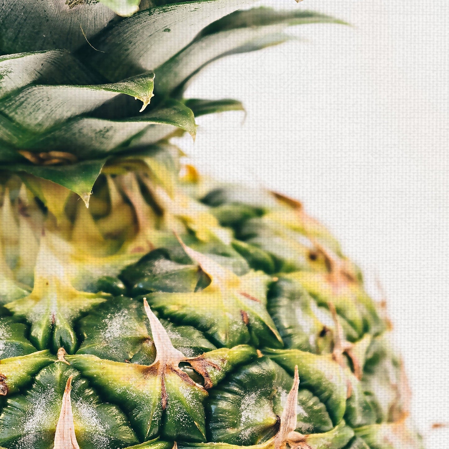 Primer plano de la pina - Pineapple Supply Co