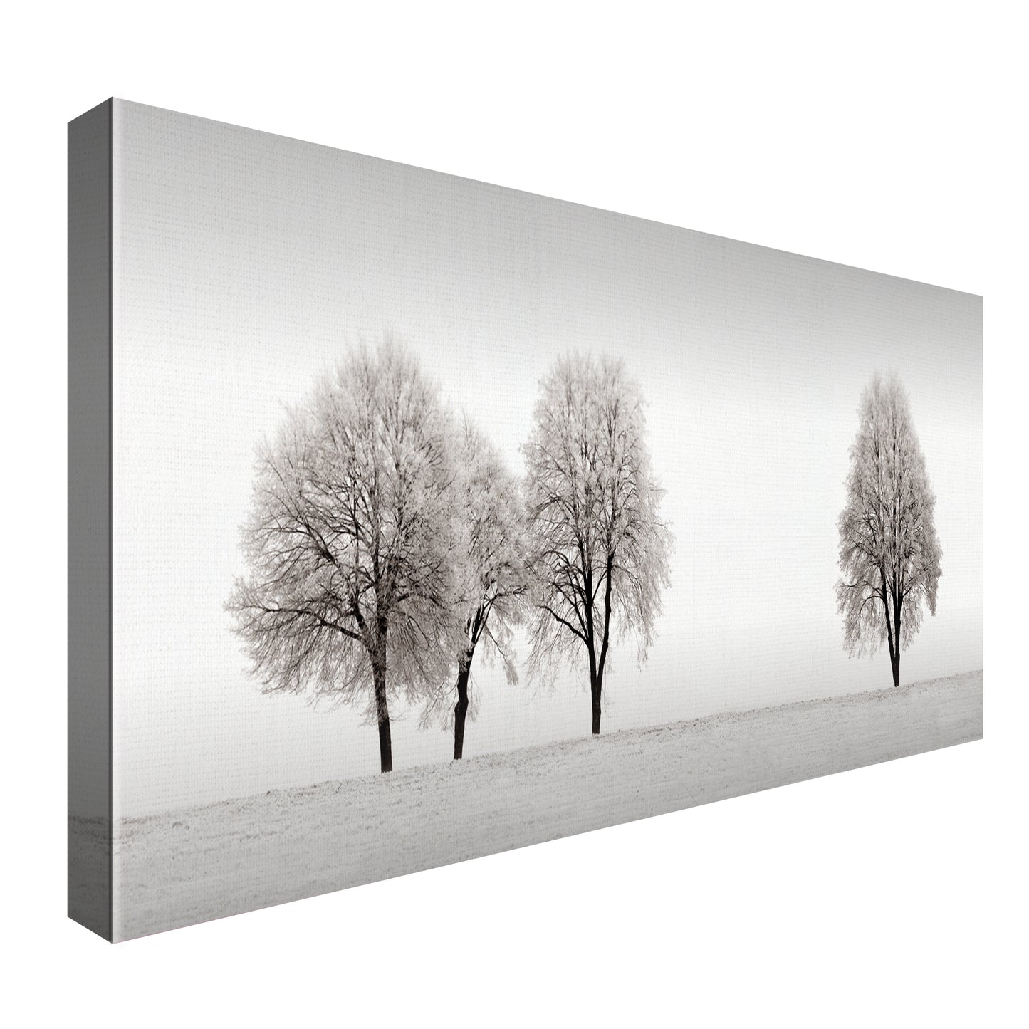 Linea de Arboles - Ilona Wellmann