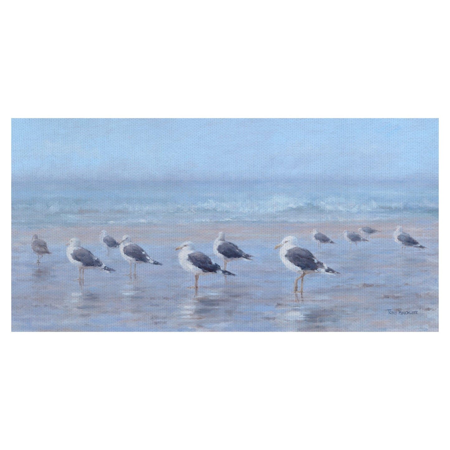 Aves marinas - Tony Hinchcliffe