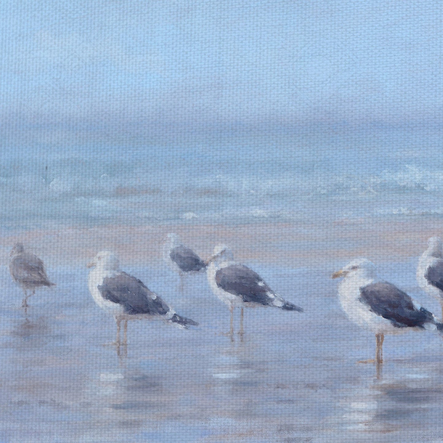 Aves marinas - Tony Hinchcliffe