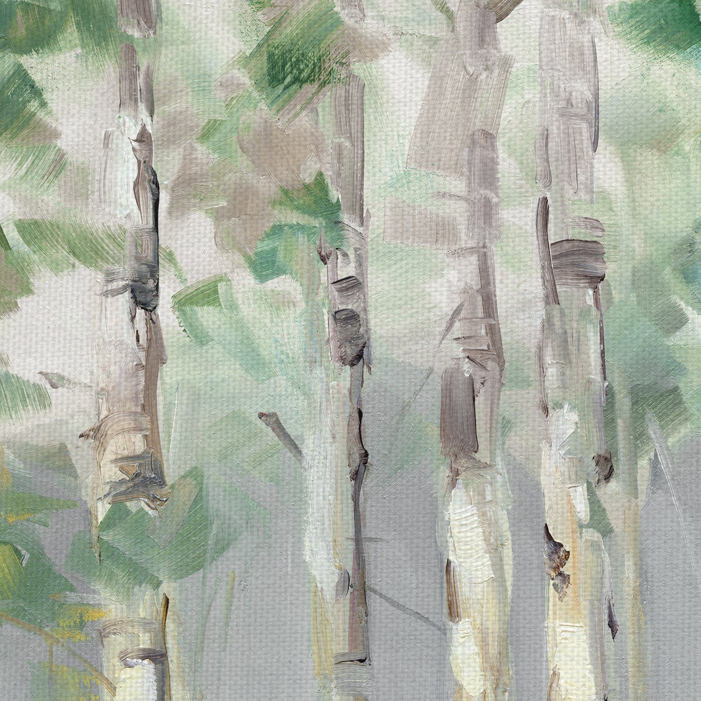 Reflexiones de abedul IV - Sally Swatland