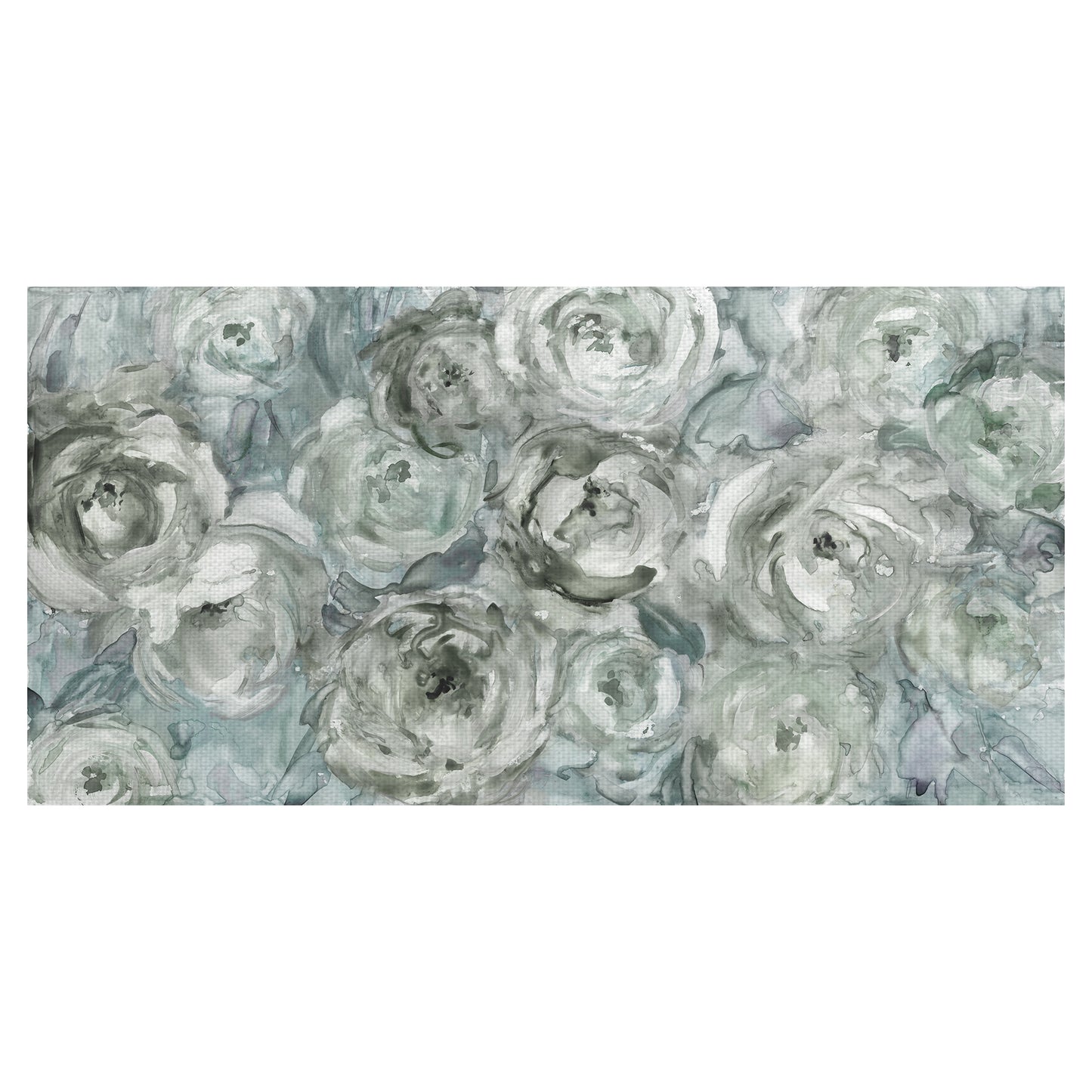 Rosas trepadoras Plata - Carol Robinson