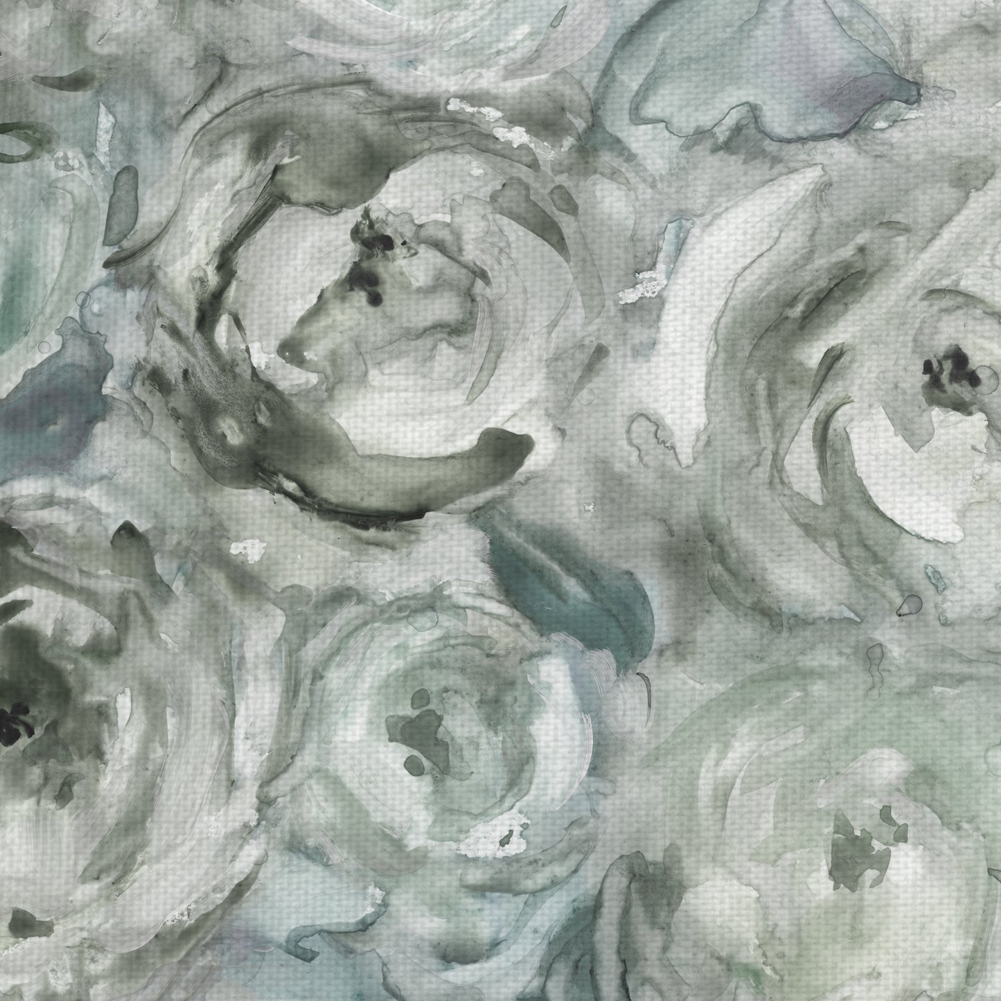 Rosas trepadoras Plata - Carol Robinson