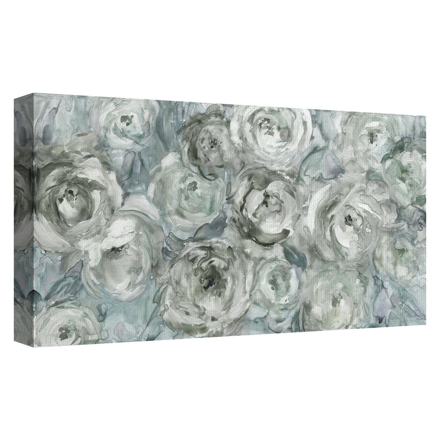 Rosas trepadoras Plata - Carol Robinson