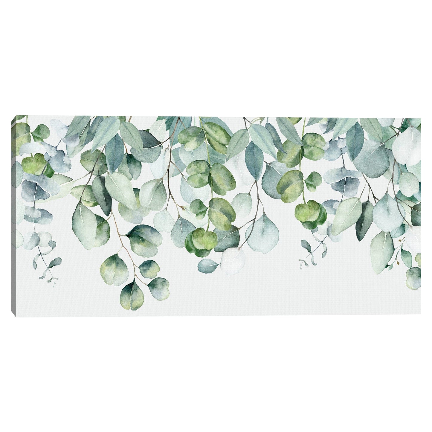 Panel de eucalipto - Belle Maison