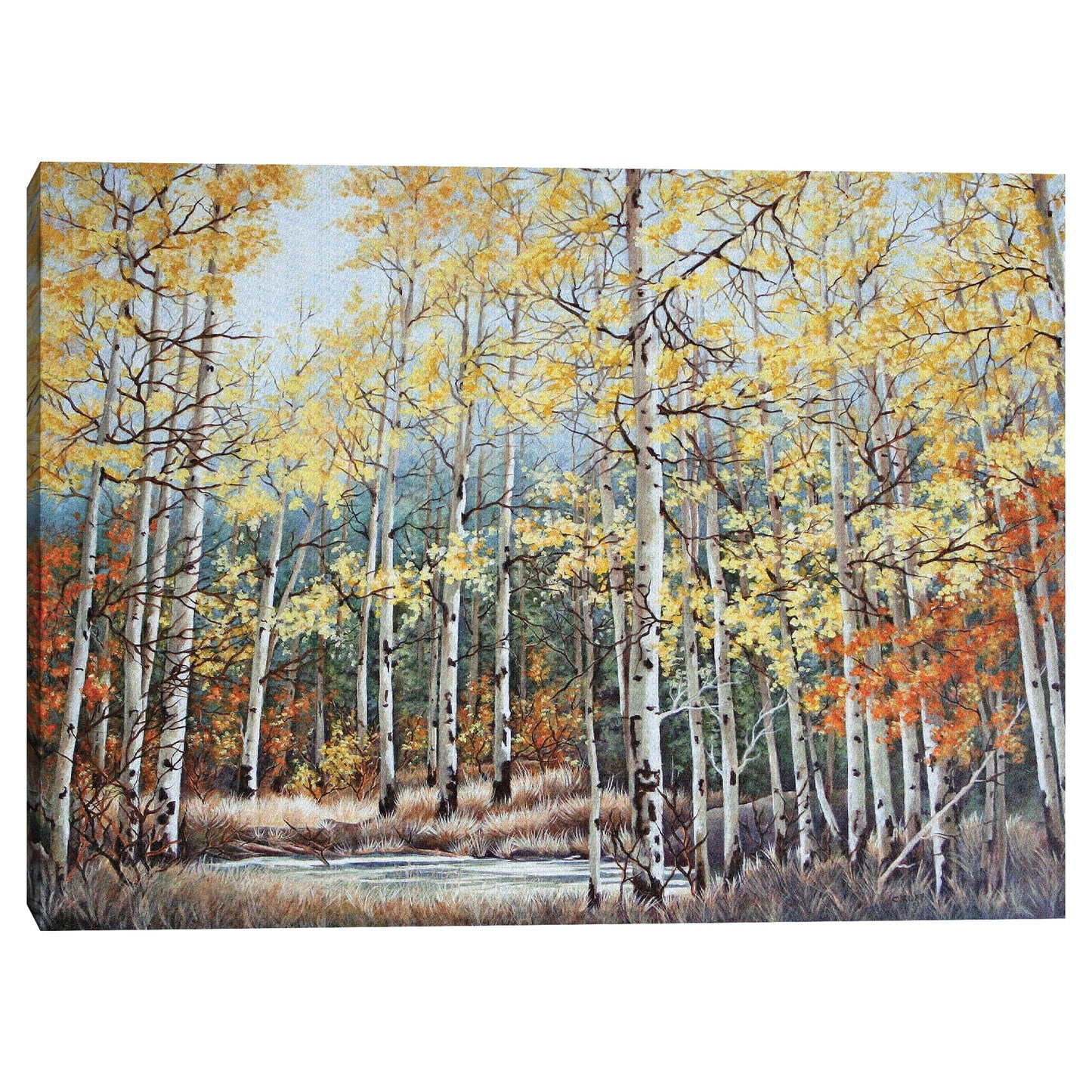 Nuevo Aspen Grove - Carol J Rupp