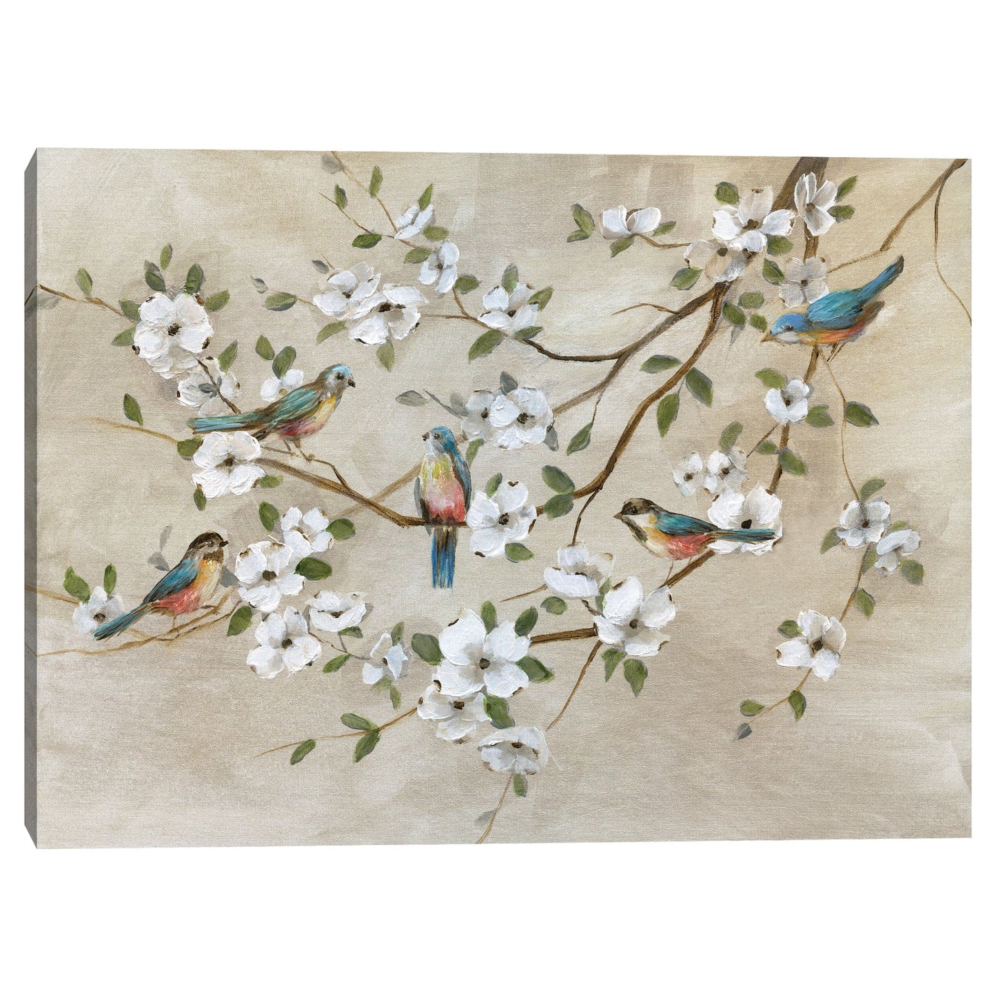 Pájaros de un plumaje - Nan