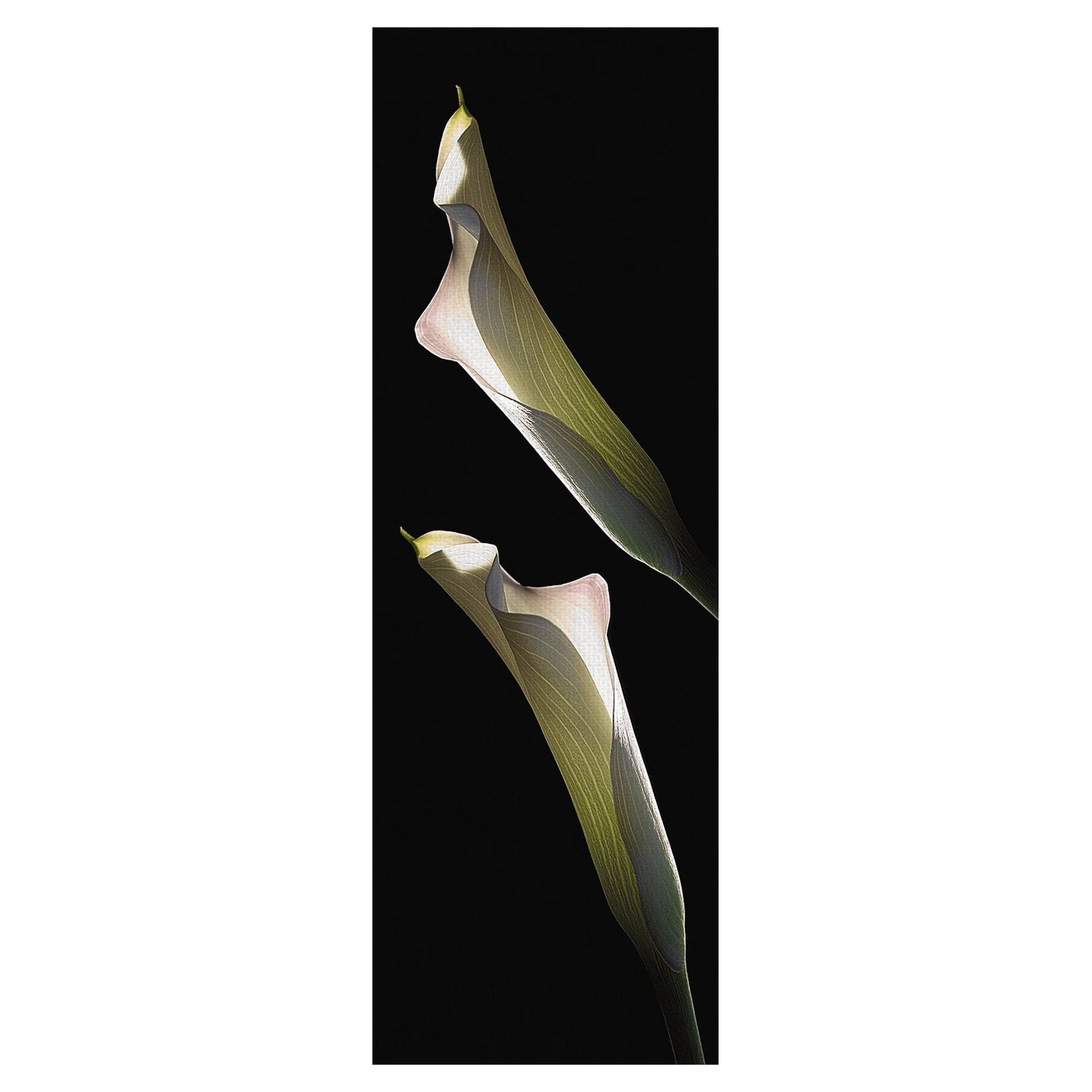 Calla Lirios Panel I - Lependorf-Shire