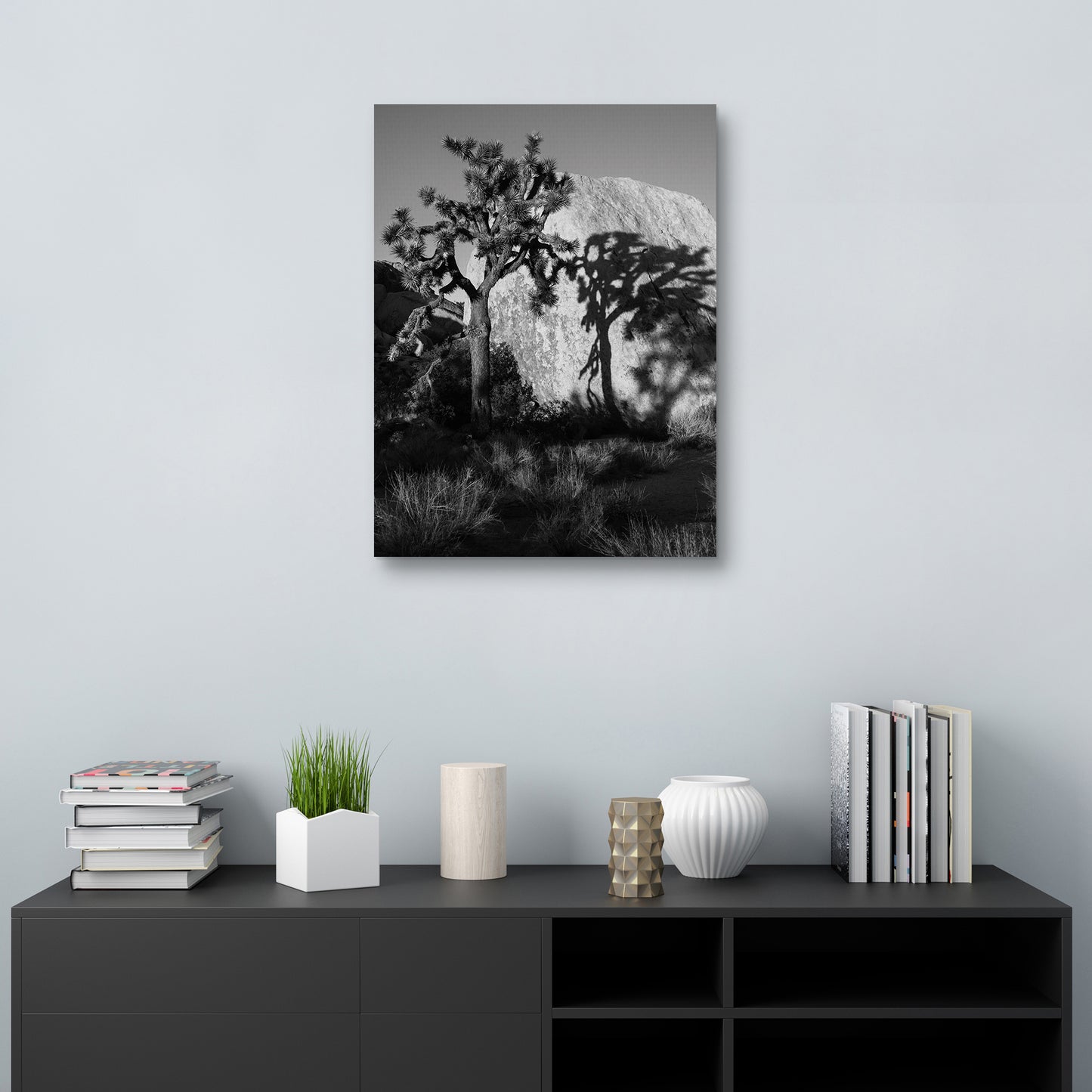 Sombra de arbol - AM Photography