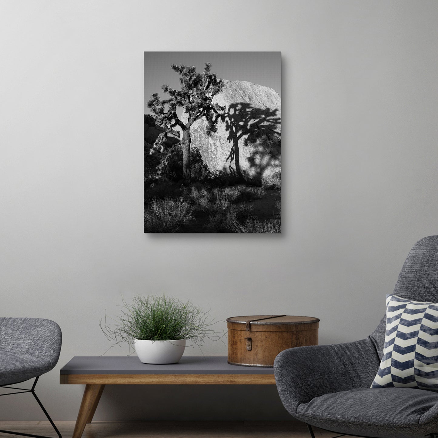 Sombra de arbol - AM Photography