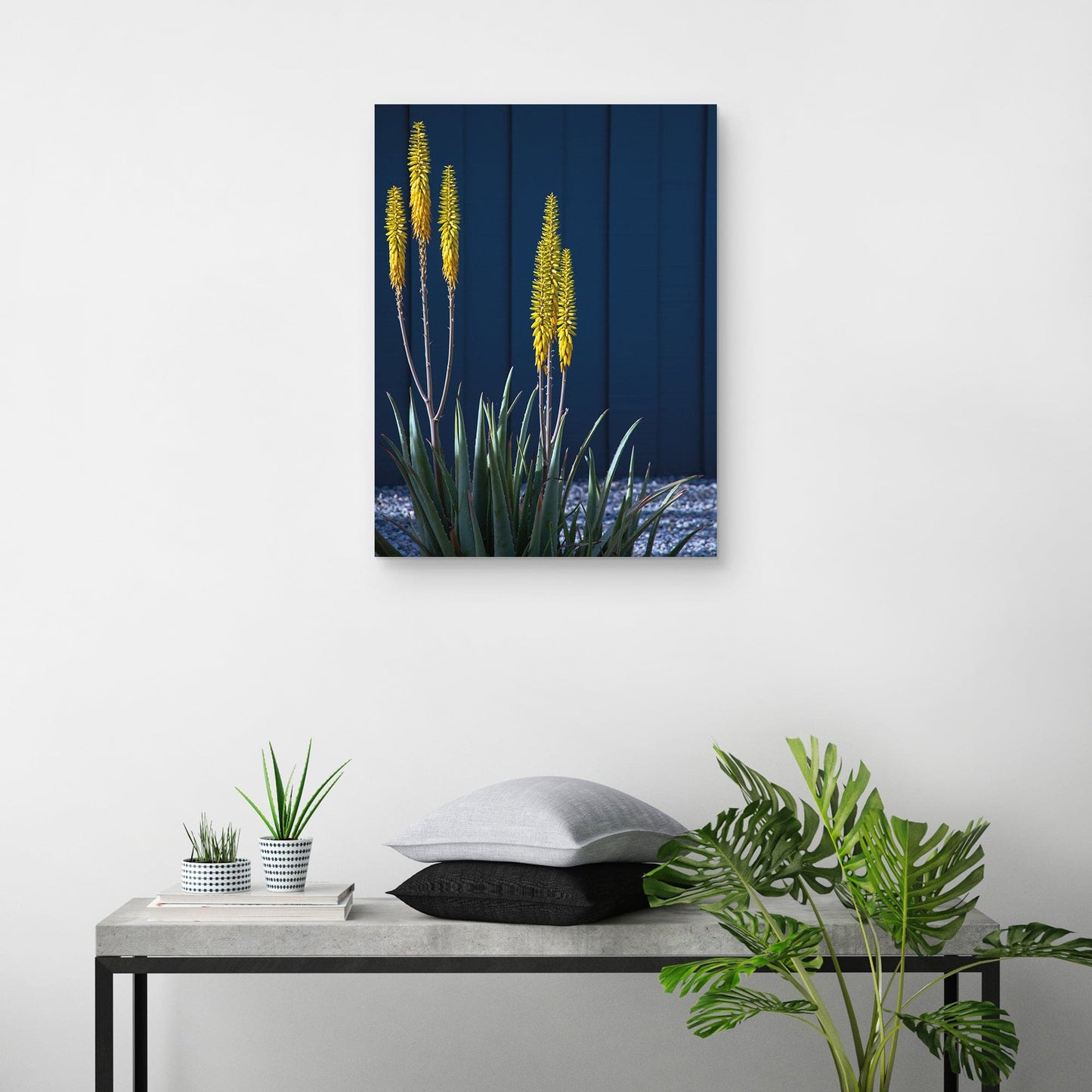 Barrio de Palm Springs - Zandria Muench Beraldo