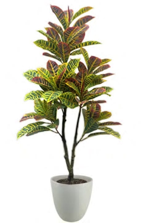 Planta decorativa - Croton - 122 cm