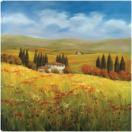 Esplendor de la toscana - Tim Howe