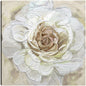 Oro Rosa Radiante - Studio Arts
