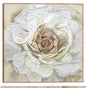 Oro Rosa Radiante - Studio Arts