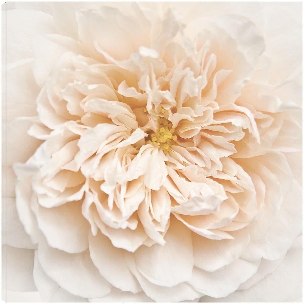 Cupcake rosa - Rebecca Swanson