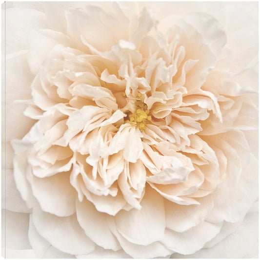Cupcake rosa - Rebecca Swanson