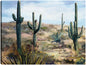 Vista del desierto - Studio Arts