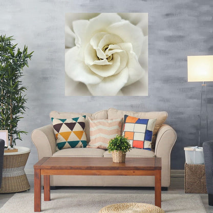 Gardenia desteñida - Rebecca Swanson
