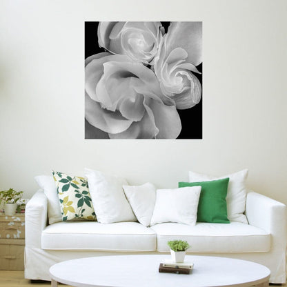 Floral 19 - Michael Faragher