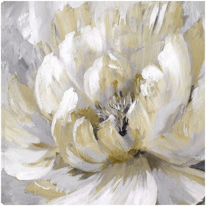 Estallido de oro de primavera - Nan