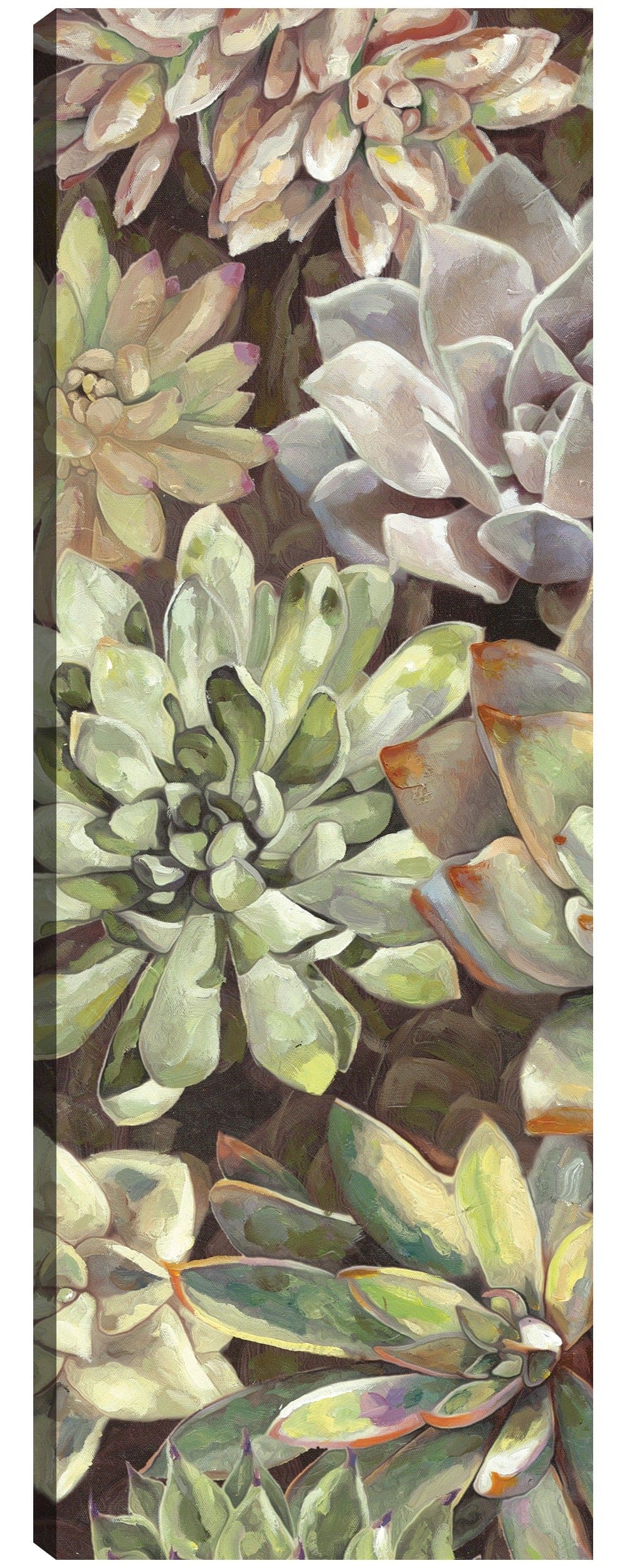 Panel del jardín del desierto I - Dixon Design Group