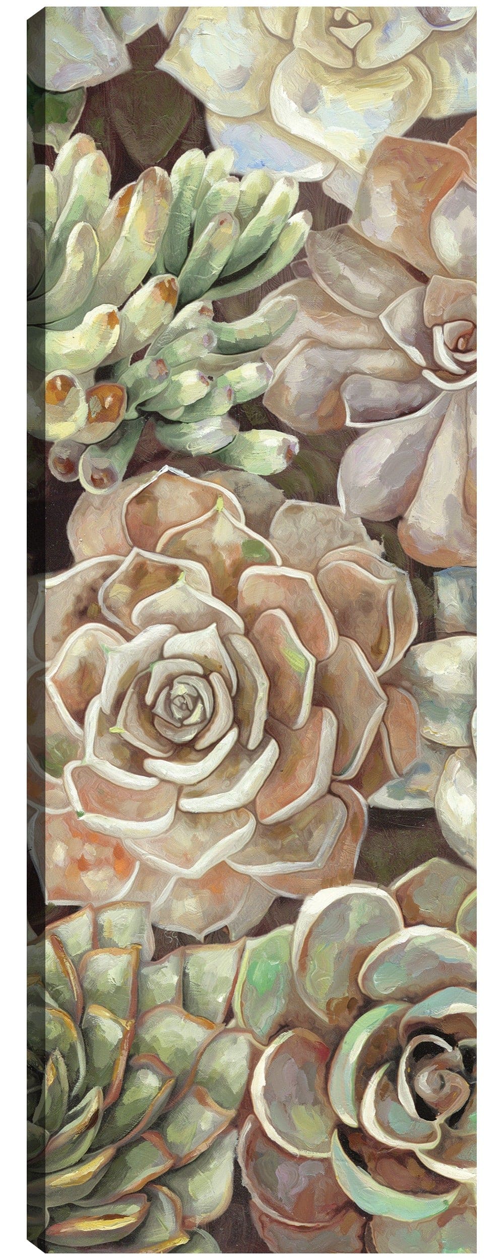 Panel del jardín del desierto II - Dixon Design Group