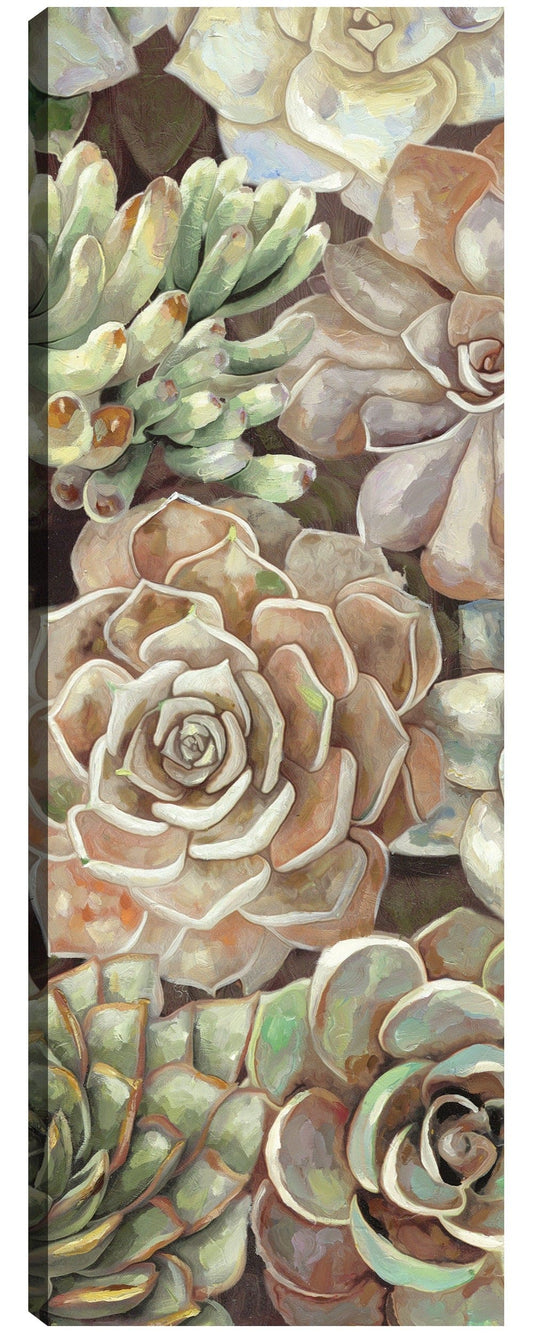 Panel del jardín del desierto II - Dixon Design Group