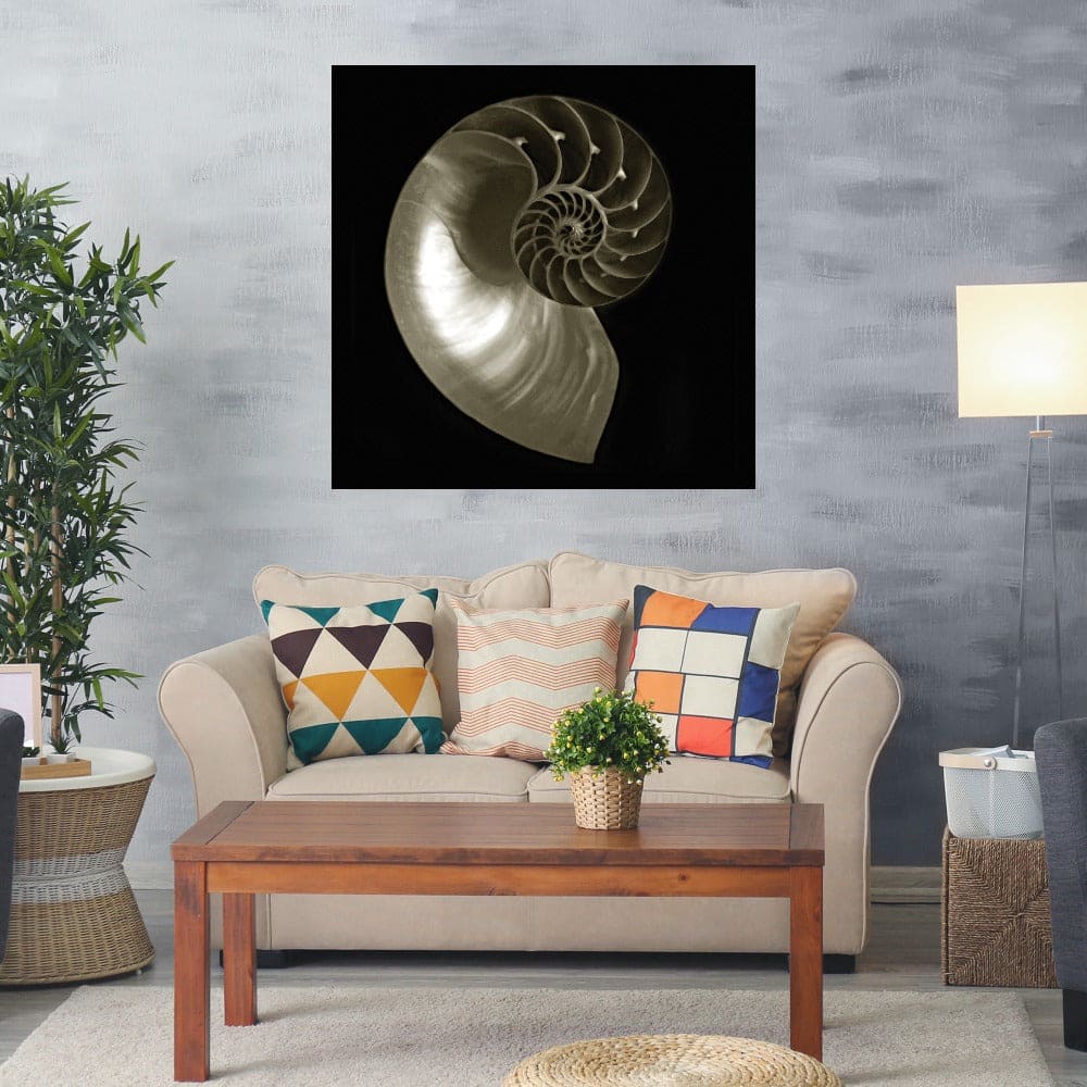 Nautilo sobre Negro - Ilona Wellmann