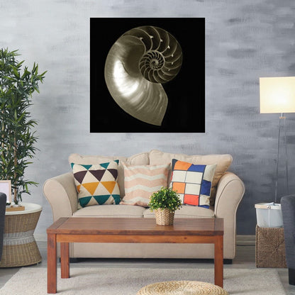 Nautilo sobre Negro - Ilona Wellmann